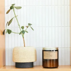 P. F. Candle Co. Standard Candle - Teakwood & Tobacco